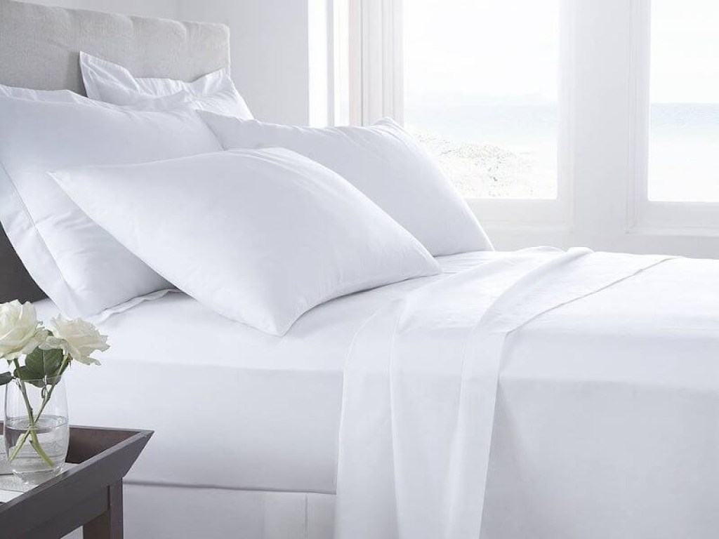 Σεντόνι Ξενοδοχείου 50% Βαμβακερό 144 κλωστών Γαρύφαλλο | Γαρύφαλλο - λευκά Είδη